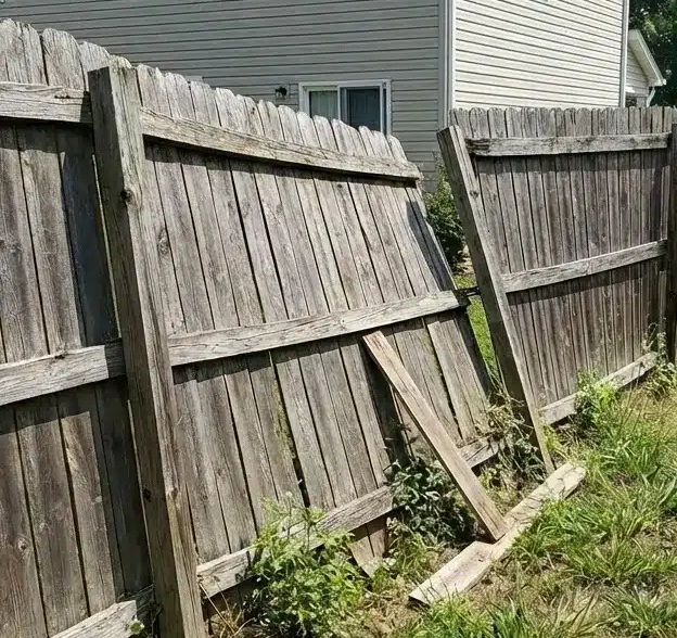 Before fence repair 1